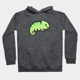 Chameleon Hoodie